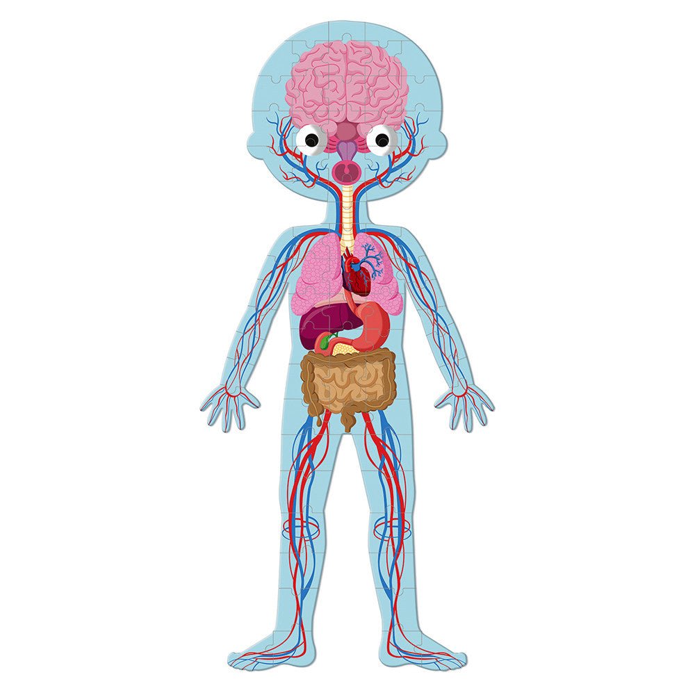 4 in 1 Educational Puzzle - Human Body - Princess and the Pea