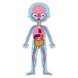 4 in 1 Educational Puzzle - Human Body - Princess and the Pea