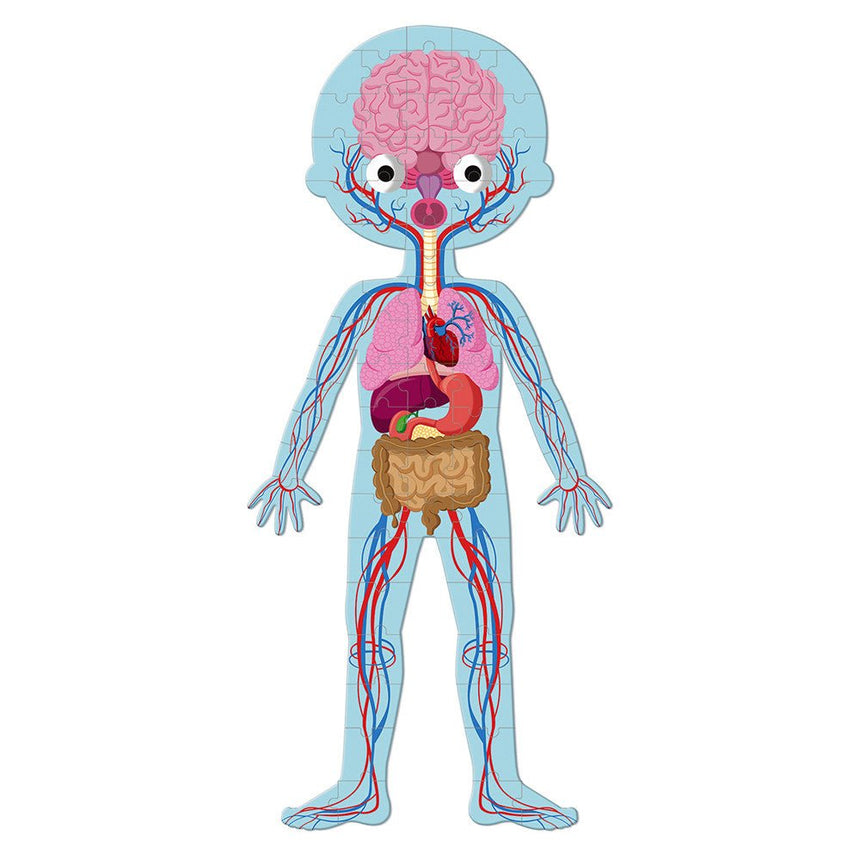 4 in 1 Educational Puzzle - Human Body - Princess and the Pea
