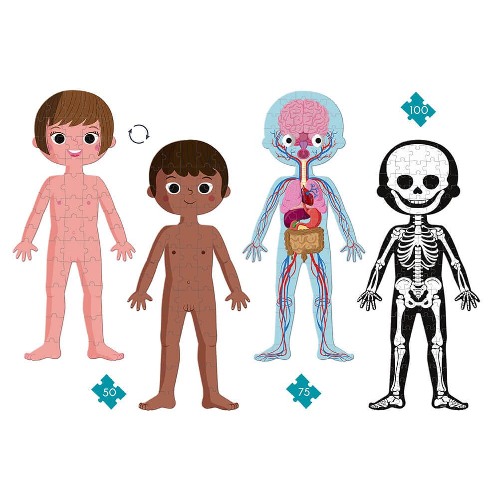 4 in 1 Educational Puzzle - Human Body - Princess and the Pea