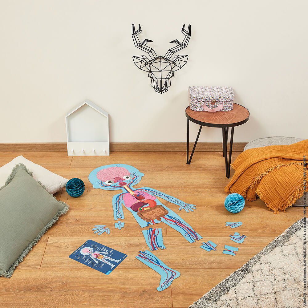 4 in 1 Educational Puzzle - Human Body - Princess and the Pea