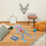 4 in 1 Educational Puzzle - Human Body - Princess and the Pea