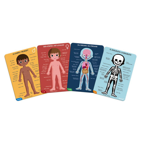 4 in 1 Educational Puzzle - Human Body - Princess and the Pea