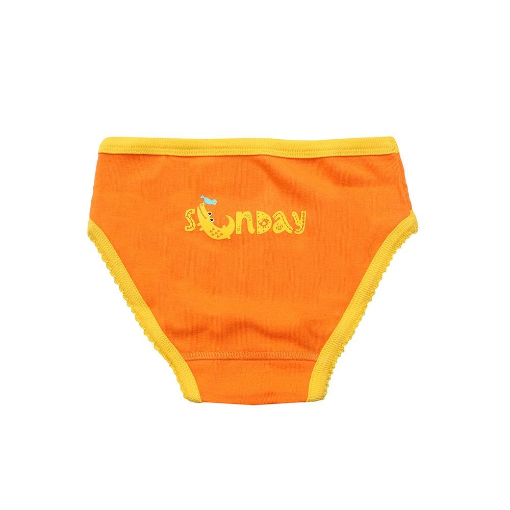 5 Pcs) Forest Kids Girl Panties 100% Cotton Girl Underwear Seluar Dal –  Forest Clothing