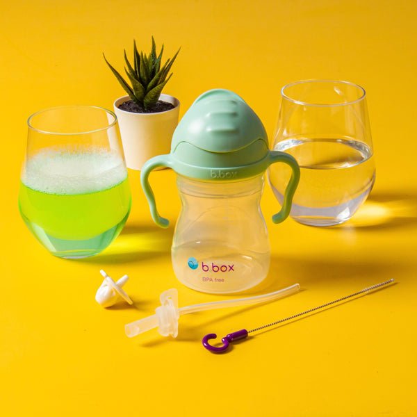 B.BOX Sippy Cup Replacement Straws and Cleaner - Princess and the Pea