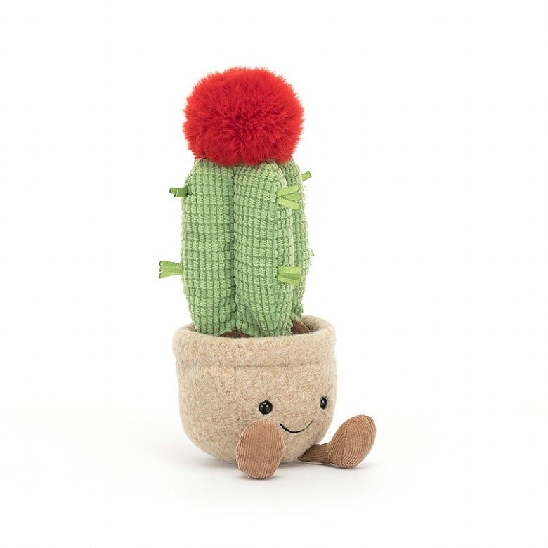 Jellycat Amuseable Moon Cactus - Princess and the Pea