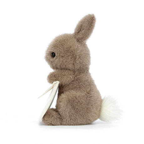 Jellycat Messenger Bunny - Princess and the Pea