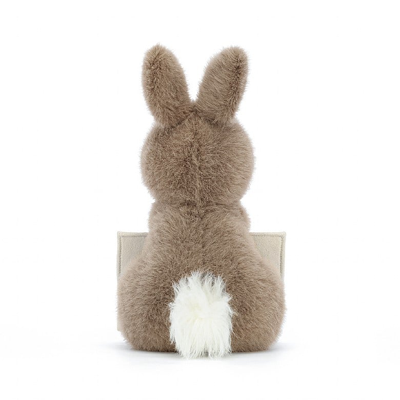 Jellycat Messenger Bunny - Princess and the Pea