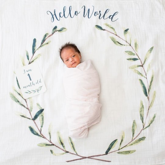 Lulujo Hello World Wreath - Milestone Blanket - Princess and the Pea